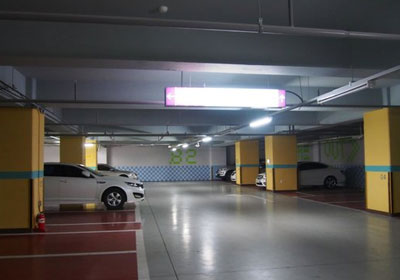 Best Flavors Presented