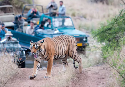 Unforgettable Culinary